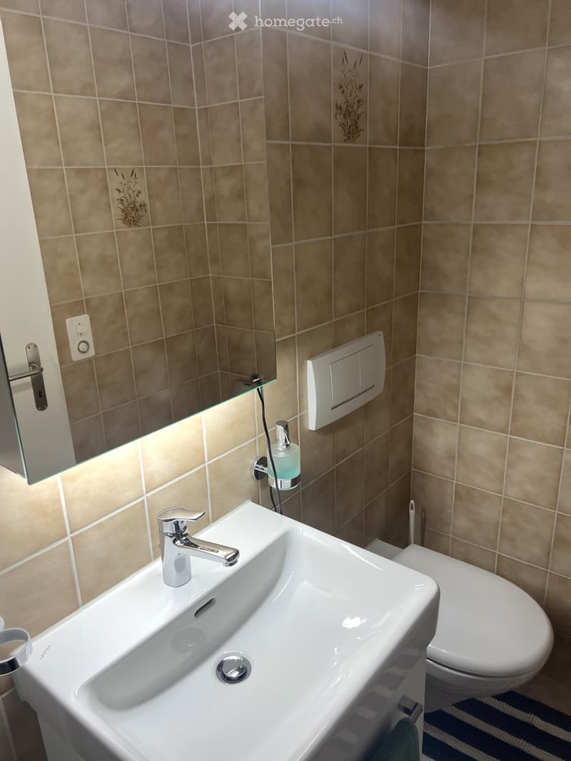 Modern bathroom with beige tiled walls, a white sink with a chrome faucet, a toilet, a mirror, and a soap dispenser.