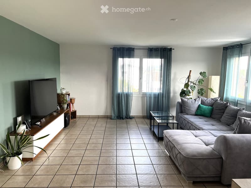 Modern living room with grey sectional sofa, ottoman, coffee table, TV, and plants.