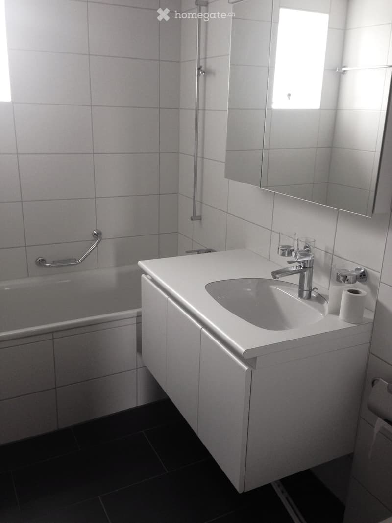 Modern bathroom with white tiles, a white sink with a chrome faucet, a bathtub, a large mirror, and a toilet paper holder.