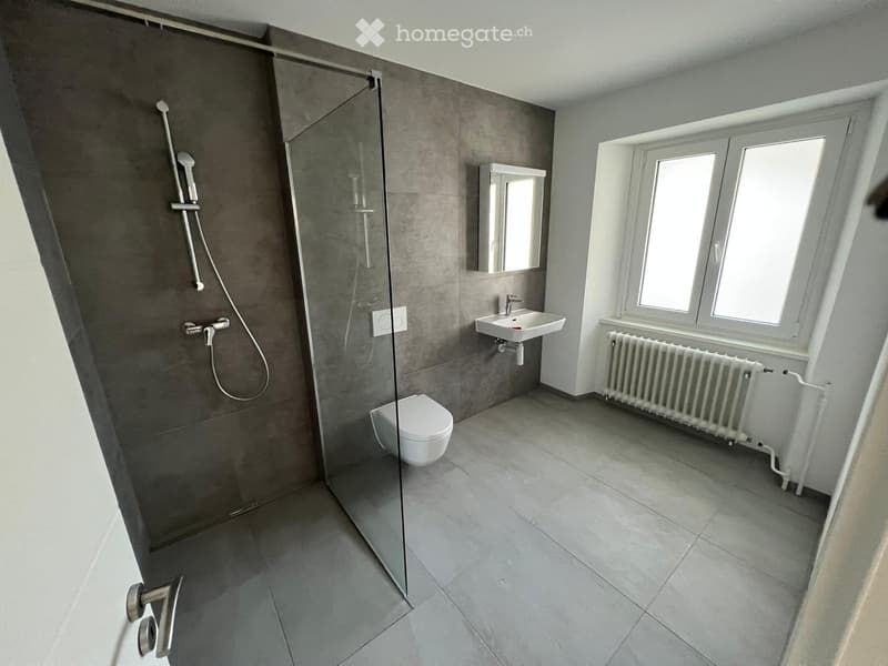 Modern bathroom with grey tiled walls, a glass-enclosed shower, a toilet, a sink with a mirror, and a radiator under the window.