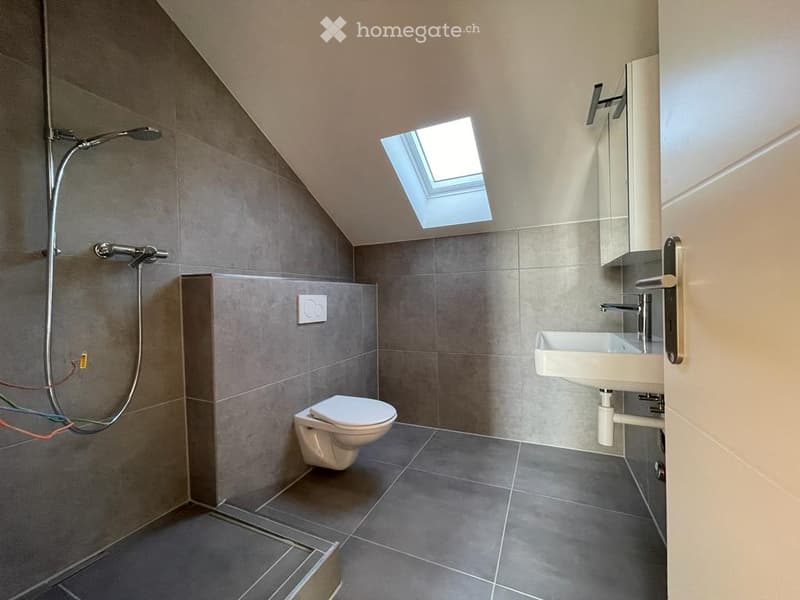 Modern bathroom with grey tiled walls and floor, a toilet, a sink with a mirror, and a shower with a handheld sprayer. A skylight provides natural light.