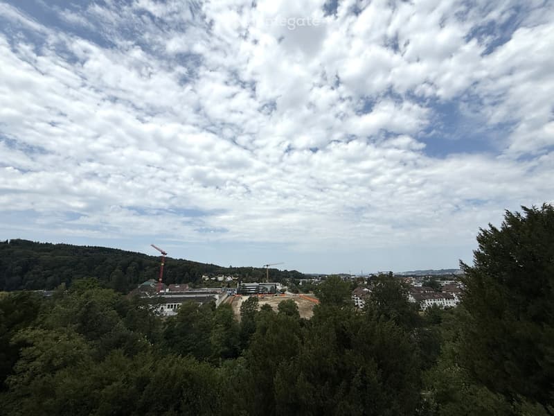 A panoramic view of a cityscape with construction cranes, buildings, and lush green trees under a partly cloudy sky.