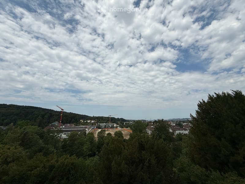 A panoramic view of a suburban area with trees, buildings, and construction cranes visible in the distance under a partly cloudy sky.