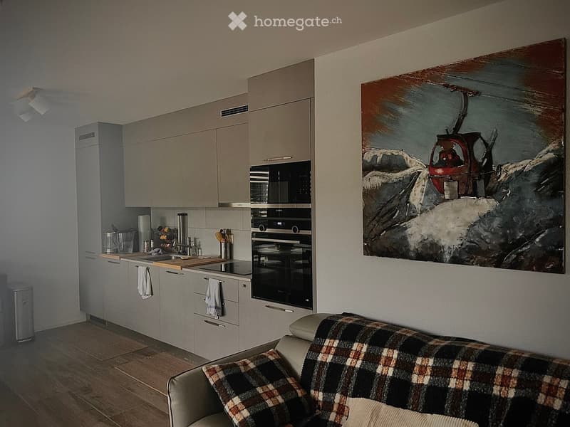 Modern kitchen and living area with grey cabinets, stainless steel oven, sink, and a sofa with a plaid blanket and pillows.