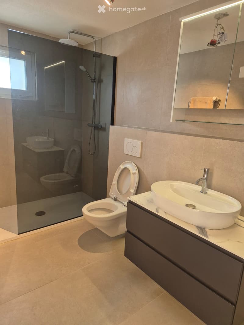 modern bathroom with walk-in shower, toilet, sink, and mirror