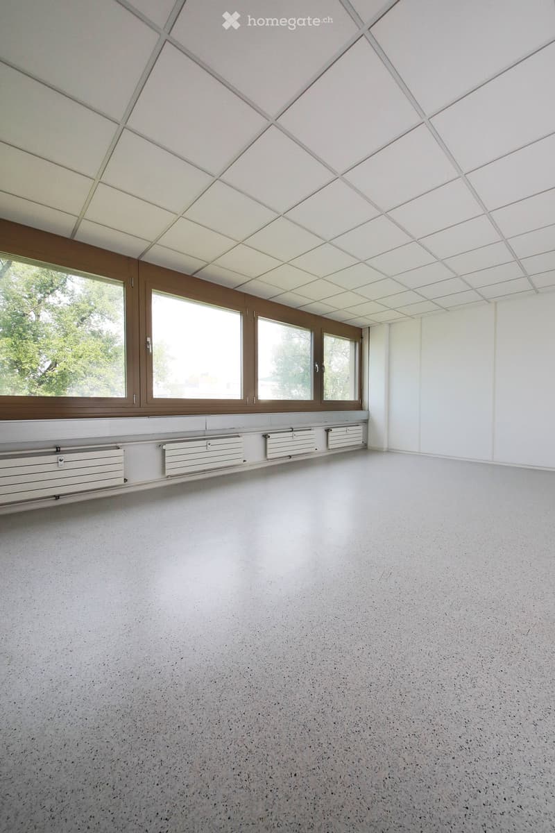 Empty room with white walls, large windows, geometric ceiling, and a smooth concrete floor.