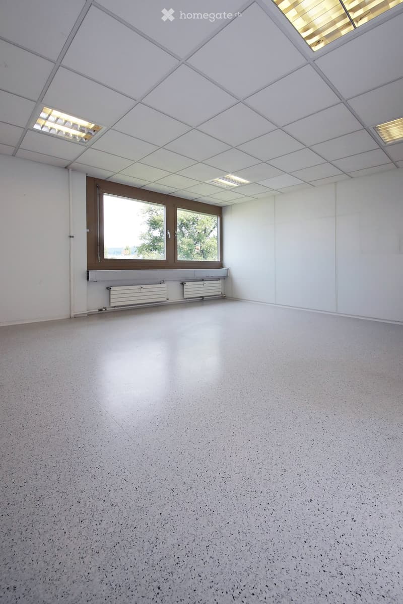 Empty room with white walls, grey speckled floor, large window with brown frame, and white radiator below it.