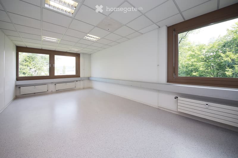 Empty room with white walls, a tiled ceiling, large windows with wooden frames, and built-in radiators along the walls.