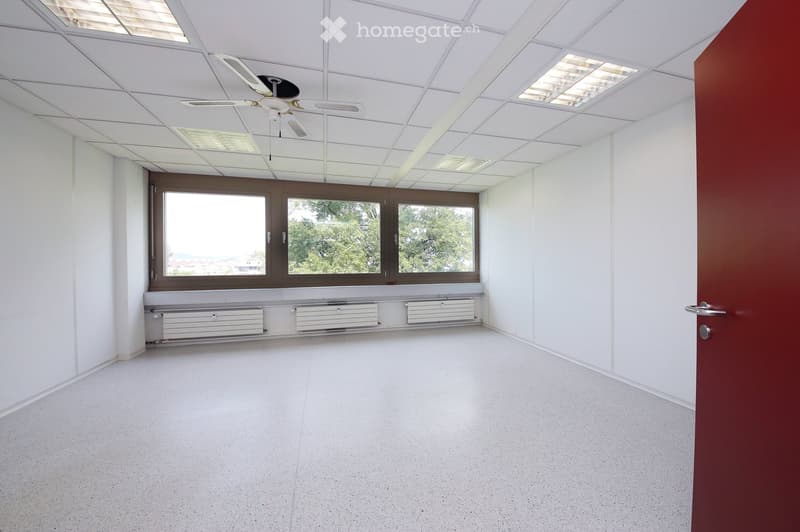 Empty room with white walls, a ceiling fan, large windows, and radiators along the wall.