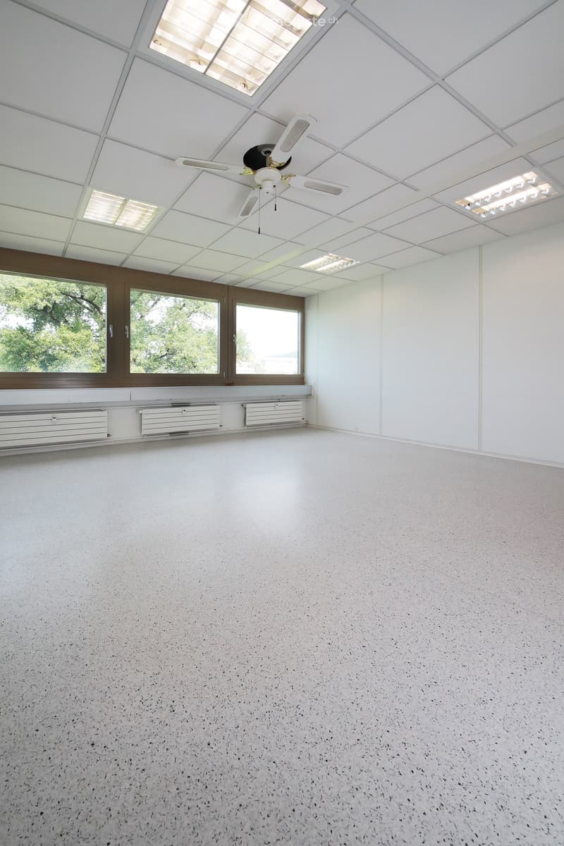 Empty room with white walls, a speckled concrete floor, large windows with wooden frames, and a ceiling fan with lights.