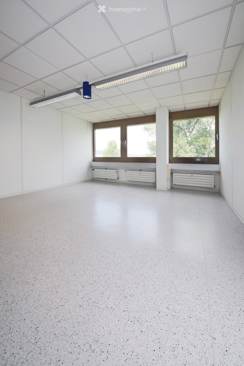 Empty room with white walls, a speckled concrete floor, large windows, and recessed lighting fixtures.