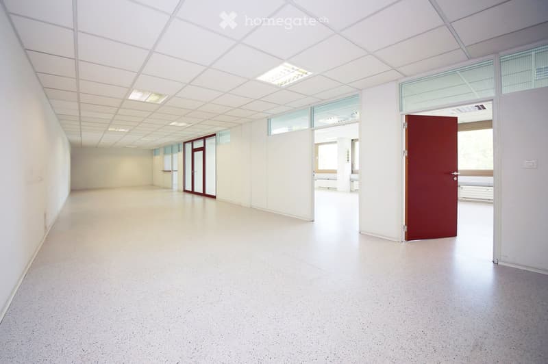 Empty room with white walls, a smooth grey floor, and a red door. The space is well-lit with large windows and a ceiling light fixture.