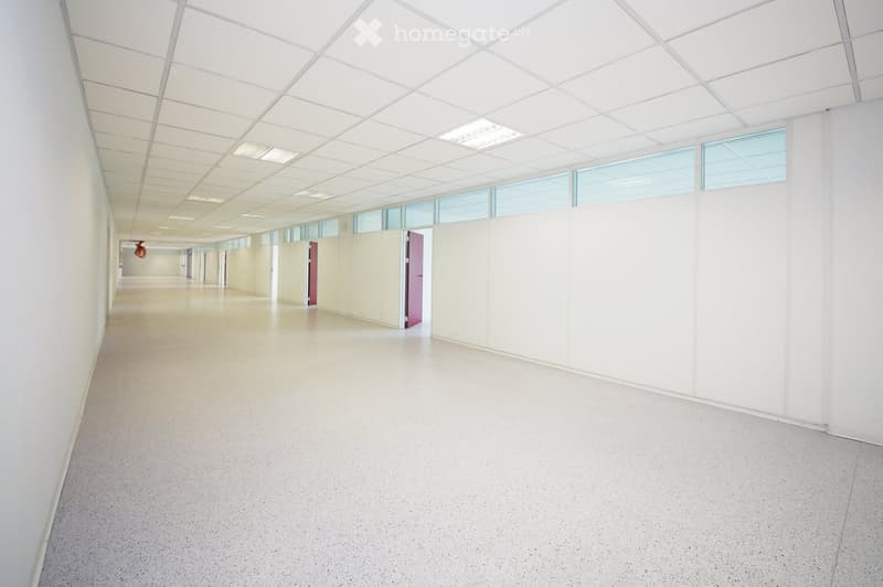 Empty, modern corridor with white walls, a smooth floor, and large windows on one side. The ceiling features a grid pattern with recessed lighting. A few doors are visible along the corridor.