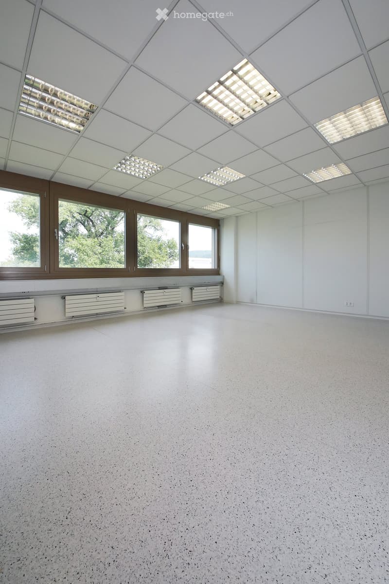 Empty room with white walls, a geometric ceiling, large windows, and a smooth, speckled floor.