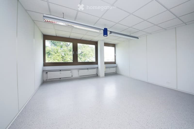 Empty room with white walls, a grey floor, large windows with brown frames, and a radiator under the windows. The ceiling has a grid pattern with recessed lighting.