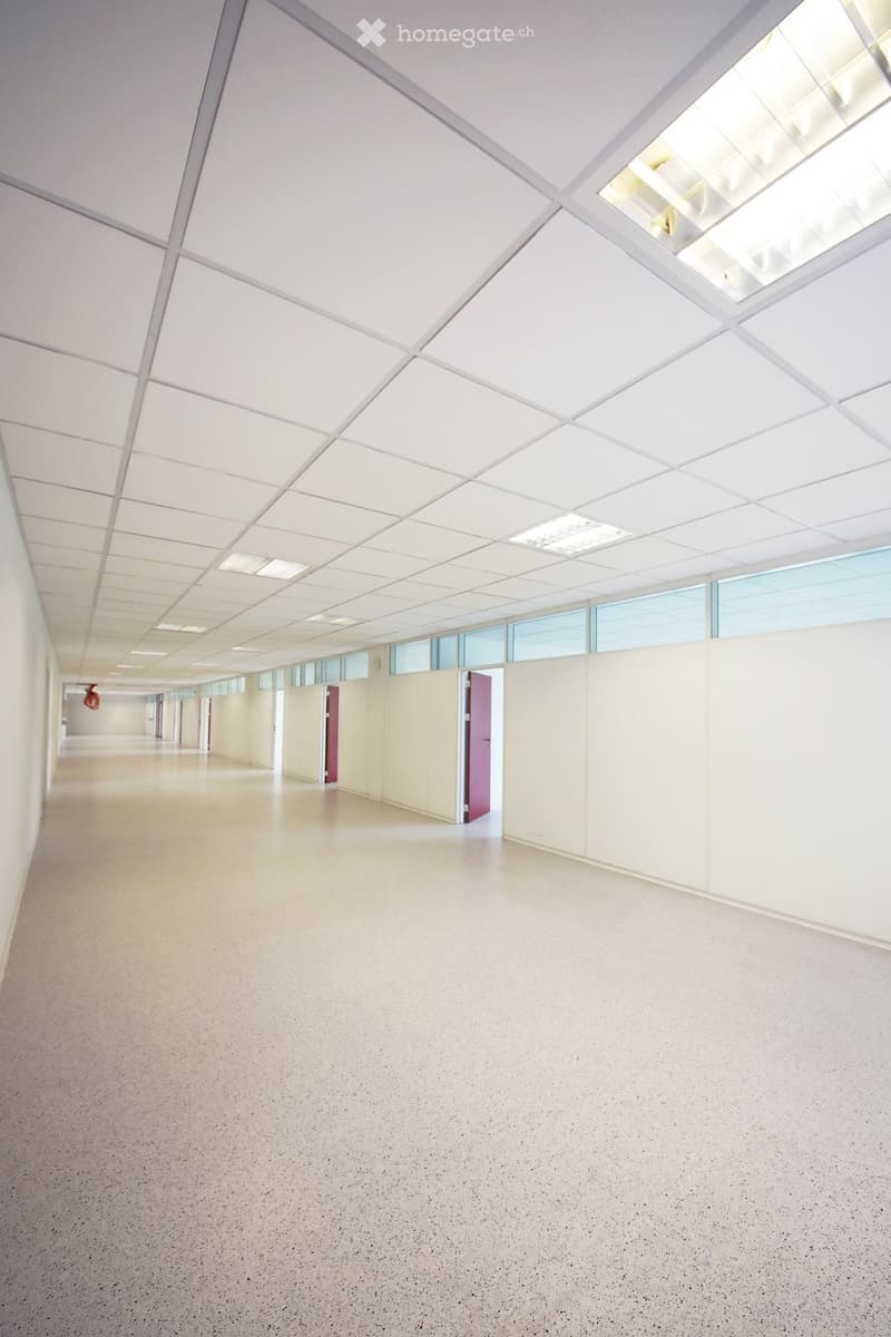 Empty hallway with white walls, a smooth concrete floor, and a geometric white ceiling with recessed lighting. Large windows line one side, and a few doors are visible along the corridor.