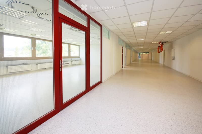 A long, clean, and well-lit hallway with white walls, a smooth floor, and a red-framed glass door on the left side. The ceiling features recessed lighting and a grid pattern, with large windows allowing natural light to enter.