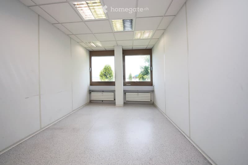 Empty room with white walls, a concrete floor, and large windows showing greenery outside. The ceiling has recessed lighting and a central column. Radiators are visible beneath the windows.