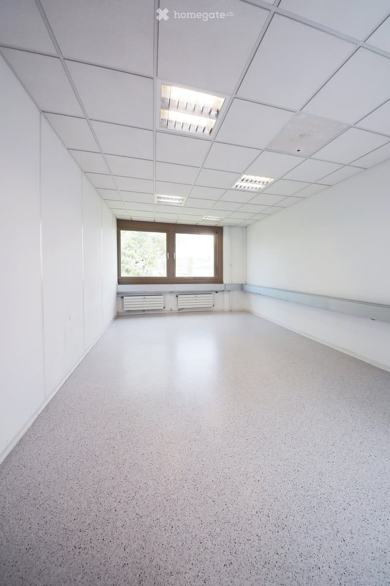 Empty room with white walls, grey carpeted floor, and a large window with brown frame. The ceiling has a grid of square tiles with integrated lighting.