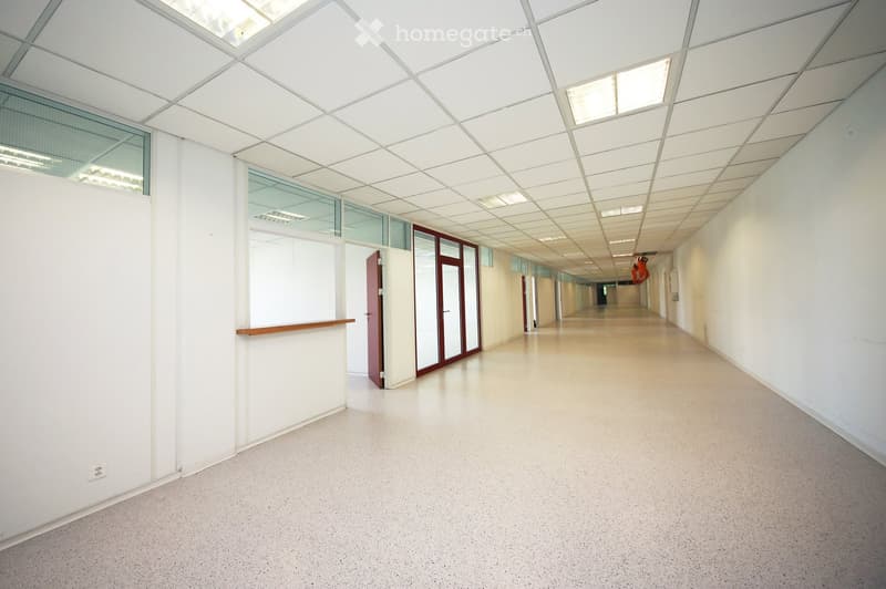 Empty, modern corridor with white walls, a geometric white ceiling, and large glass windows. The floor is light-colored and the space is well-lit with recessed lighting.