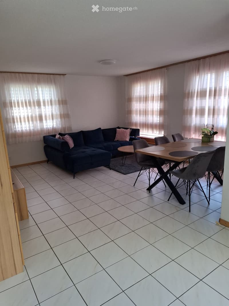 Living and dining area with a dark blue sectional sofa, pink cushions, a small coffee table, a modern dining table with chairs, and a potted plant near the window.