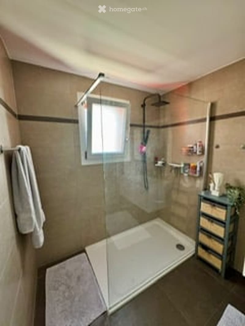 Modern bathroom with a glass-enclosed shower stall, towel rack, small storage cabinet, and a small plant on the cabinet.