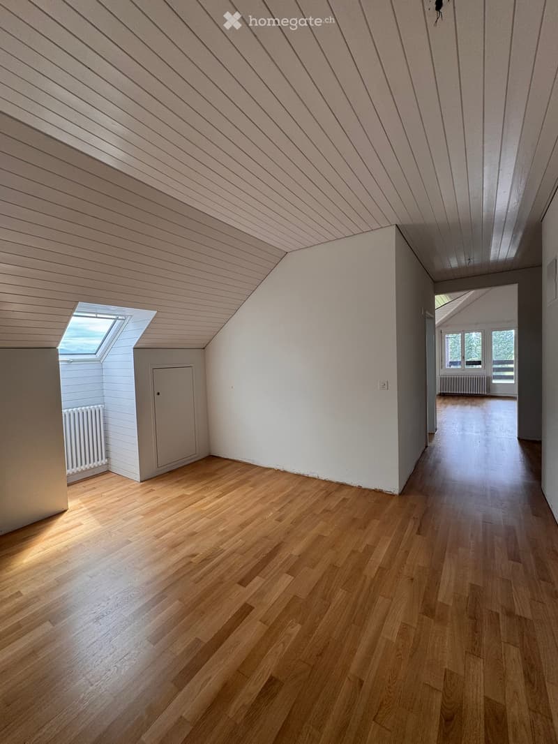 Bright, empty hallway with wooden flooring, white walls, and a slanted wooden ceiling. Features a skylight window and a closed door leading to another room.