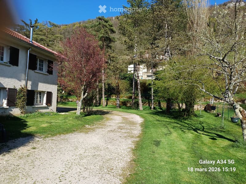 A well-maintained garden with a gravel pathway leading to a house, surrounded by trees and greenery, with a clear blue sky overhead.