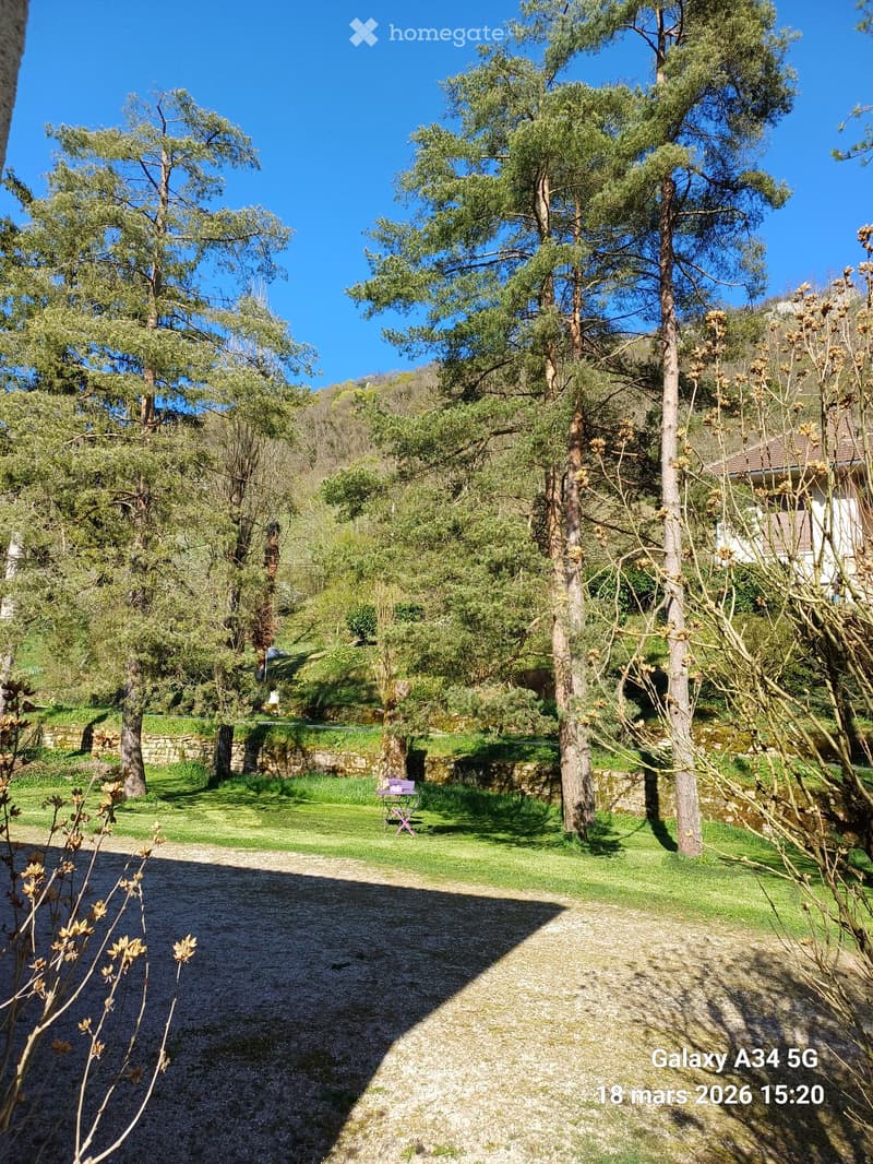 A serene garden area with a gravel pathway, lush green grass, tall trees, and a small table with chairs in the background.