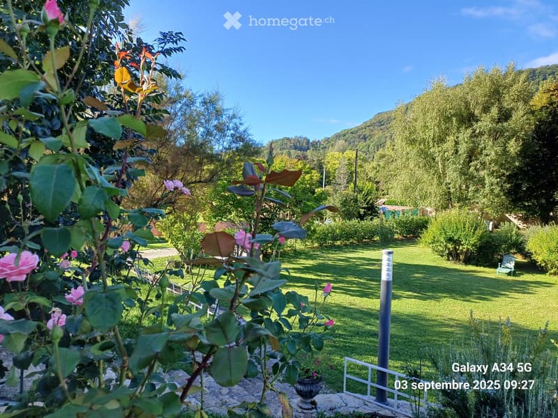 A well-maintained garden with a variety of flowering plants, including roses, and a neatly trimmed lawn. The background features dense greenery and a hill under a clear blue sky.