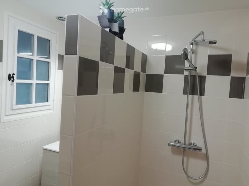 Modern bathroom with white and black tiled walls, a glass shower enclosure, a handheld showerhead, and a small potted plant on the cabinet.