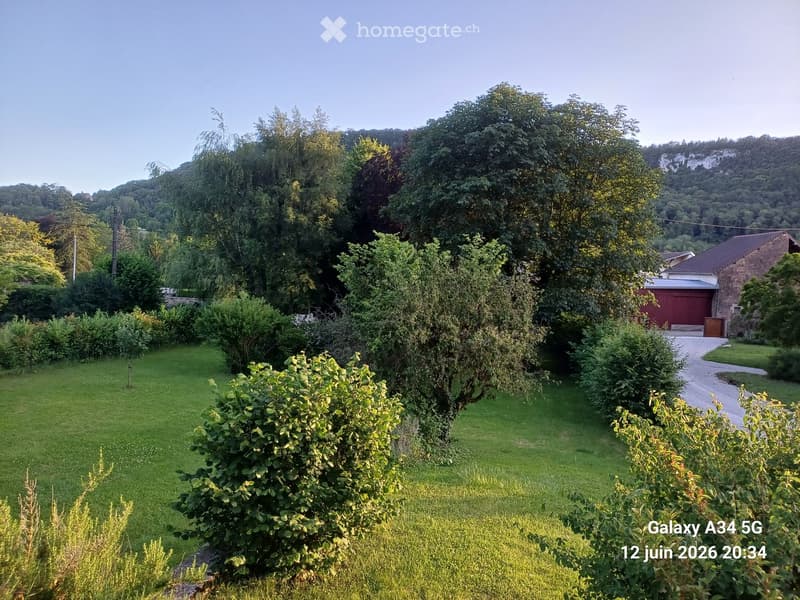 A well-maintained garden with a variety of trees, shrubs, and a gravel pathway leading to a red garage. The area is surrounded by lush greenery and a hill in the background.