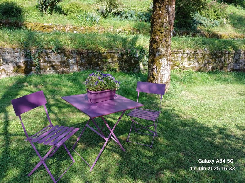 A garden area with a purple metal table and two matching chairs, a flower pot with purple flowers, and a large tree trunk nearby.