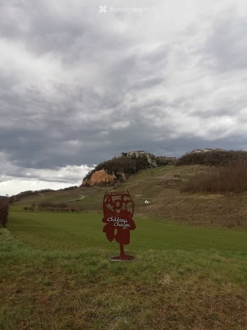 A grassy field with a metal sign reading "Château Chalon" in the foreground, overlooking a vineyard and a hilltop castle in the background under a cloudy sky.
