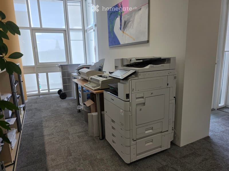 Office space with a large printer, table, keyboard, screen, chair, and plant near large windows.