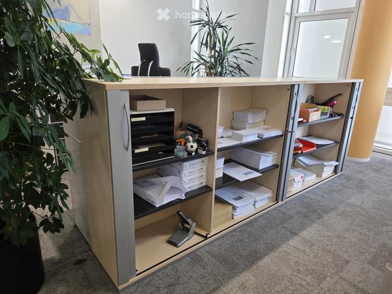 Office reception area with a wooden desk, chair, storage cabinet, and potted plants near large windows.
