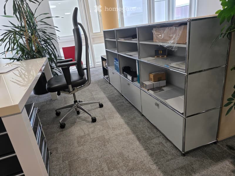Modern office space with a grey office chair, a white desk, a metal storage unit, and a potted plant near a large window.
