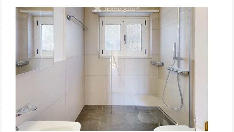 Modern bathroom with a glass-enclosed shower, a large mirror, and a towel rack. The walls are tiled in light beige, and the floor is dark grey.