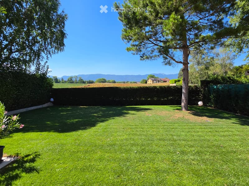 Well-maintained lawn with a large tree, surrounded by hedges and a clear view of distant mountains.