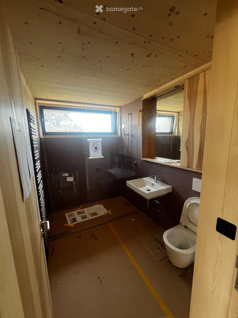 Bathroom with a toilet, sink, mirror, and shower area. The floor is unfinished with visible wood panels, and the walls are painted in a dark color. There is a window providing natural light.