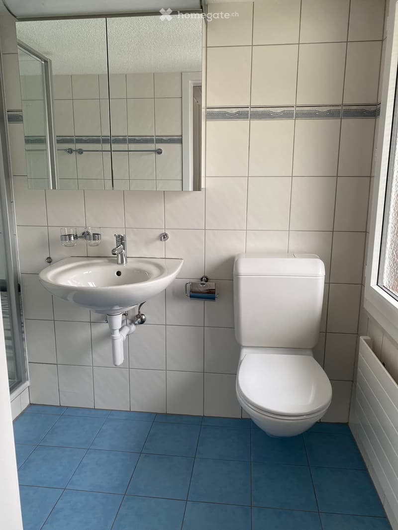 Modern bathroom with white tiles, blue floor tiles, a white sink, a toilet, a mirror, and a toothbrush holder.