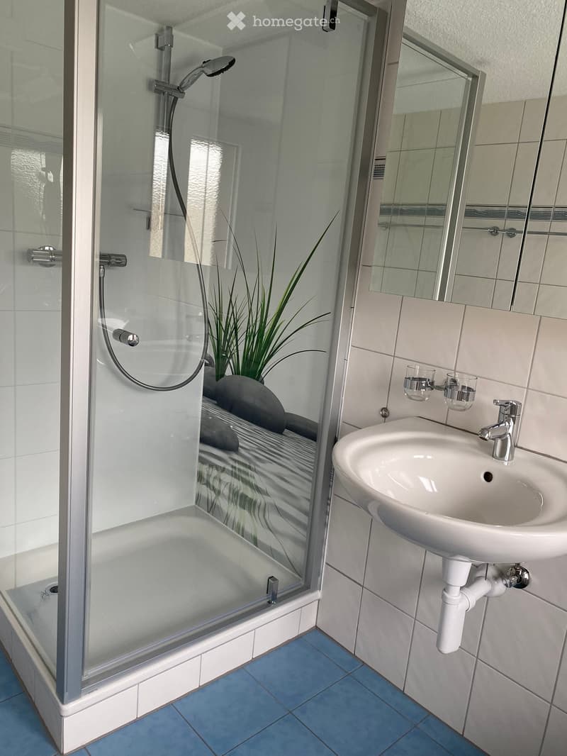 Modern bathroom with a white sink, chrome faucet, glass shower enclosure, and a small glass shelf holding two glasses.