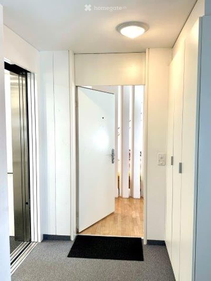 The image shows a hallway with white walls, a hardwood floor, and a ceiling light fixture. There is a mirrored closet door visible, as well as a doorway leading to another room.