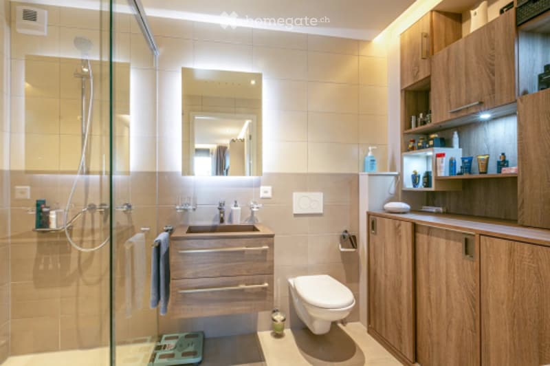 Modern bathroom with wooden cabinets, a sink, a toilet, a shower, and a mirror above the sink.