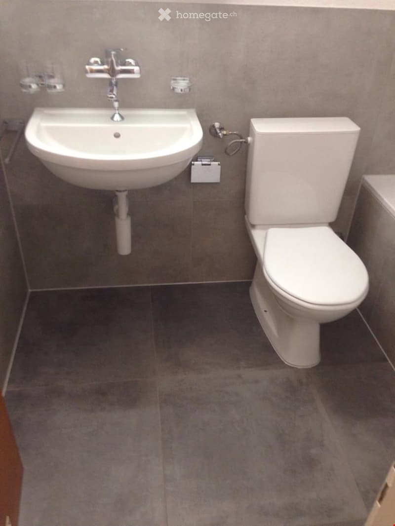 Modern bathroom with sink, toilet, gray tiles