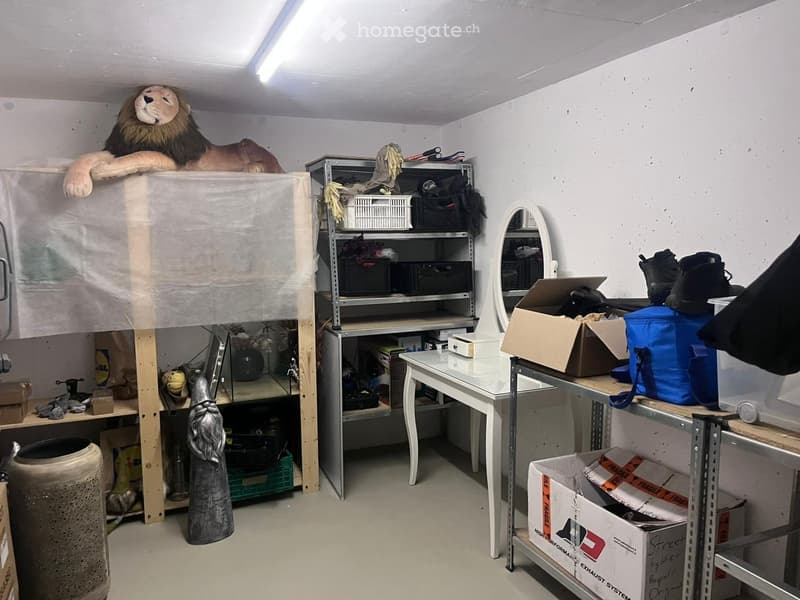 Storage room with shelves, a small table, a mirror, and various items including a toy lion and a statue.