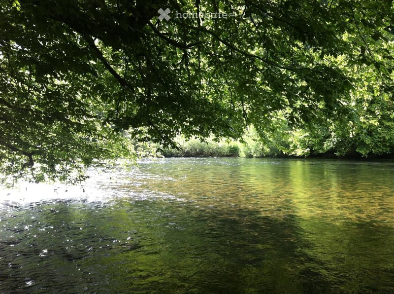 A serene river flows under a canopy of lush green trees, creating a tranquil natural setting.