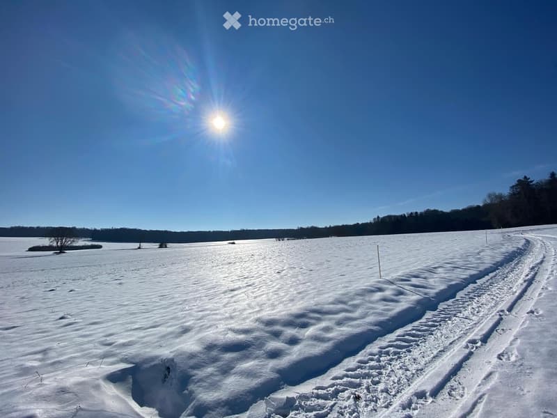A wide, snow-covered field with a clear blue sky and sun shining brightly. Tracks in the snow indicate recent activity, and a few trees are visible in the distance.