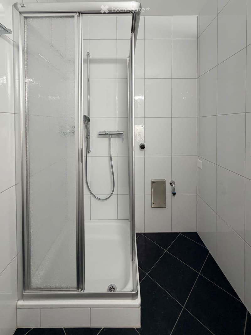 Modern shower stall with white tiles, black tiled floor, and silver fixtures including a handheld showerhead and a wall-mounted faucet.
