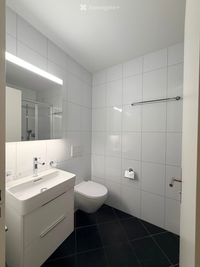 Modern bathroom with white tiles, a white sink with a chrome faucet, a toilet, a large mirror, and a towel rack.